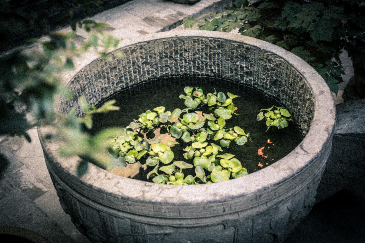 Hotel Selected Residence Pingyao Luaran gambar